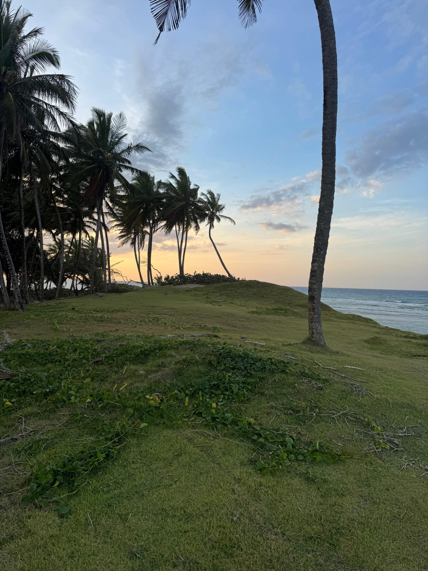 Oceanfront Lots