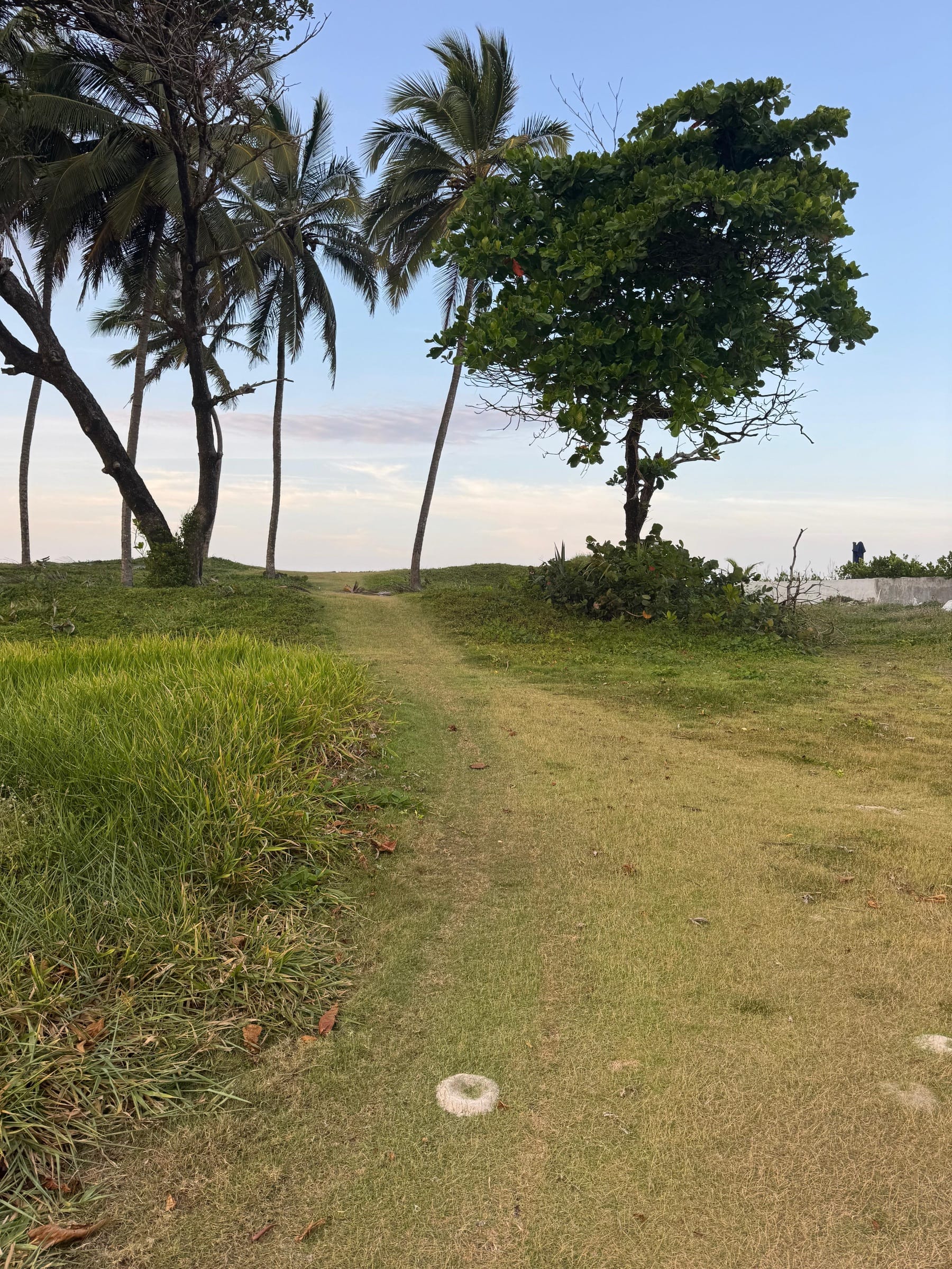 Oceanfront Lots photo 2