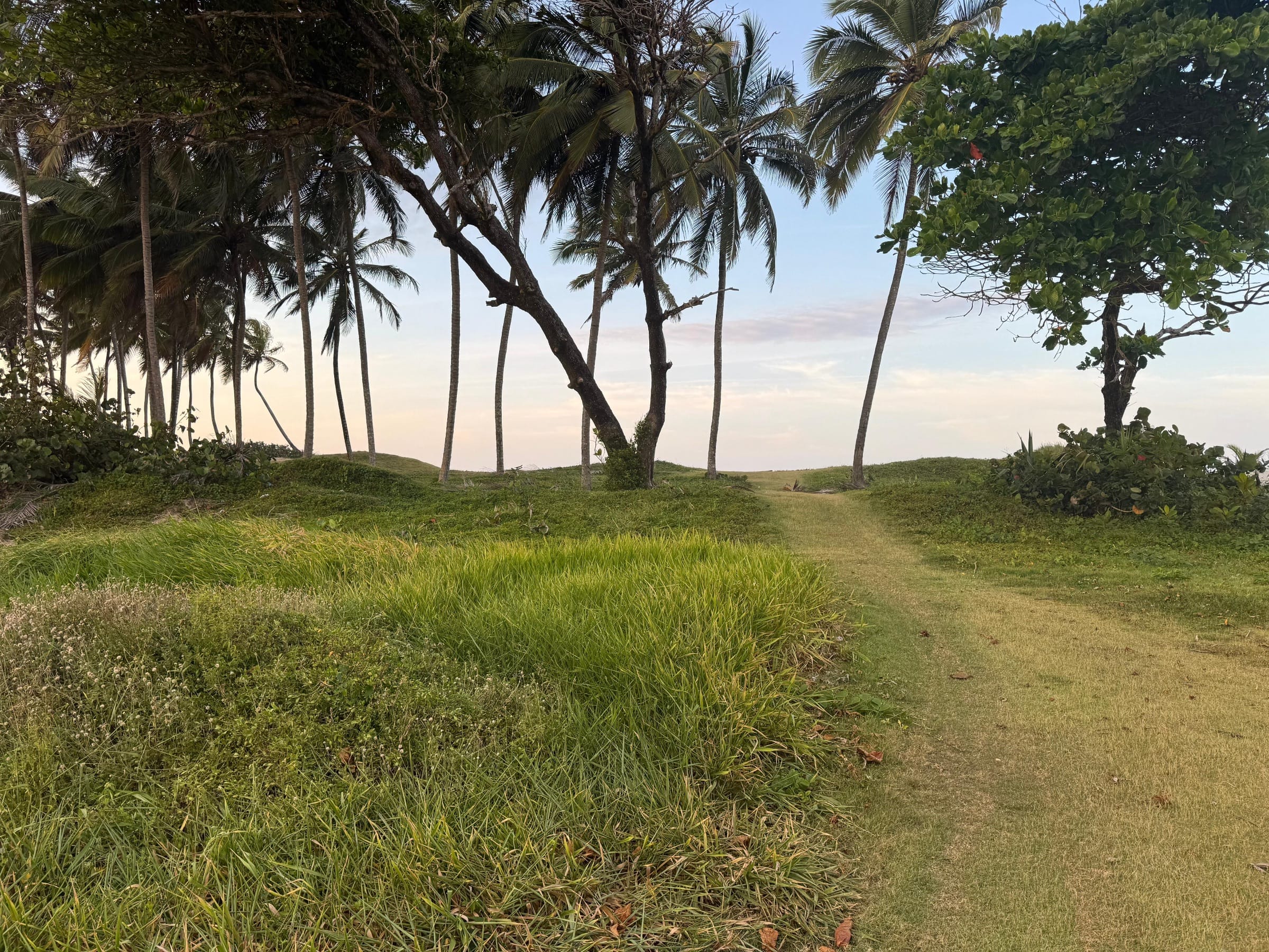 Oceanfront Lots photo 4